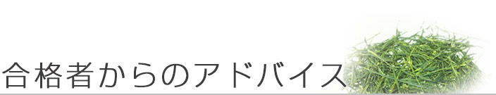 過去の合格者からのアドバイス