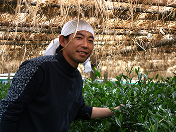 外国人に日本茶の魅力を伝える高木暁史さん