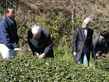 クロッペンシュタイン名誉教授（左から２番目）に煎茶や玉露などの栽培方法の違いを説明する高木さん